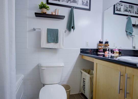A bathroom with a toilet, a counter with a mirror, and a shelf with a plant on it.
