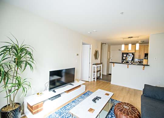 A living room with a television and a plant.