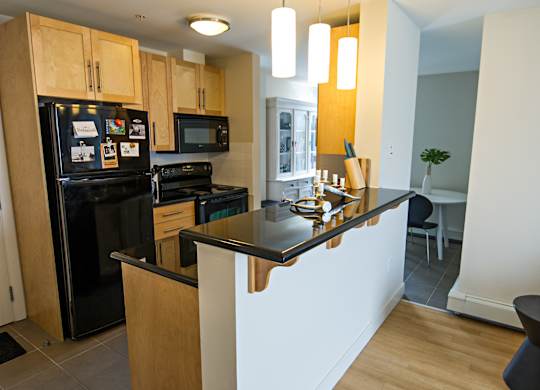 A kitchen with a black fridge and black stove.