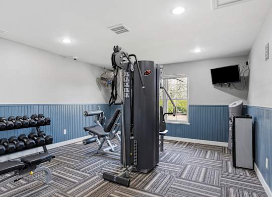 A gym with a variety of equipment including a squat rack, bench, and weights.