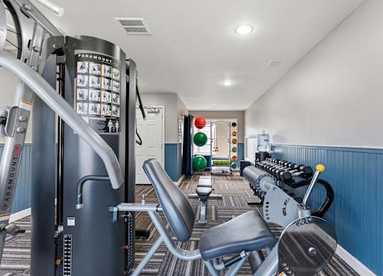 A gym with a variety of equipment including a treadmill, a stationary bike, and a rowing machine.