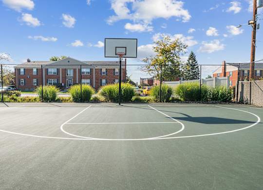 A basketball court is surrounded by grass and trees.