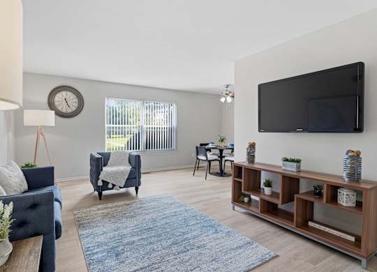 A living room with a blue couch, a grey armchair, a wooden shelf with plants, and a flat-screen TV mounted on the wall.