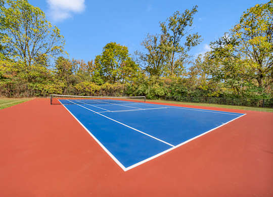 A tennis court with a blue border and red surface surrounded by trees.