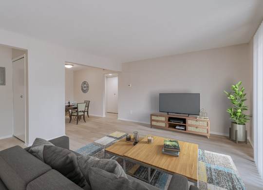 A living room with a grey couch, a wooden coffee table, and a flat screen TV.