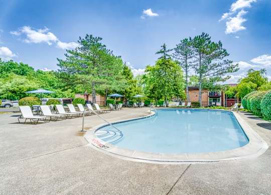 A large outdoor swimming pool surrounded by trees and lounge chairs.