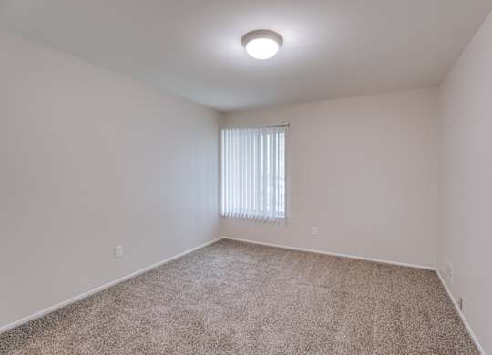 A room with a carpeted floor and a window with blinds.