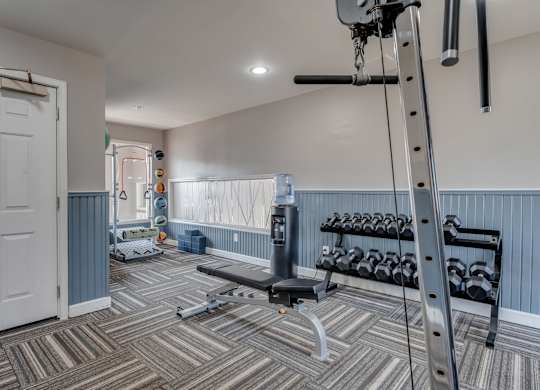 A home gym with a bench, weights, and a pull-up bar.