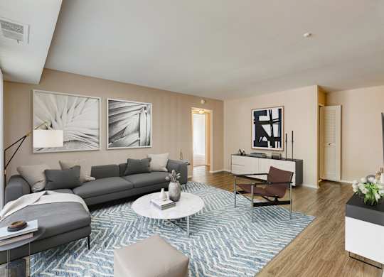 A living room with a grey sofa, a white coffee table, and a blue and white patterned rug.