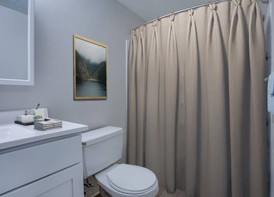 A bathroom with a toilet, sink, and a shower curtain.