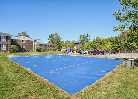 A blue basketball court in the middle of a grassy area.