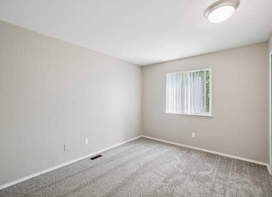 A room with a carpeted floor and a window with blinds.