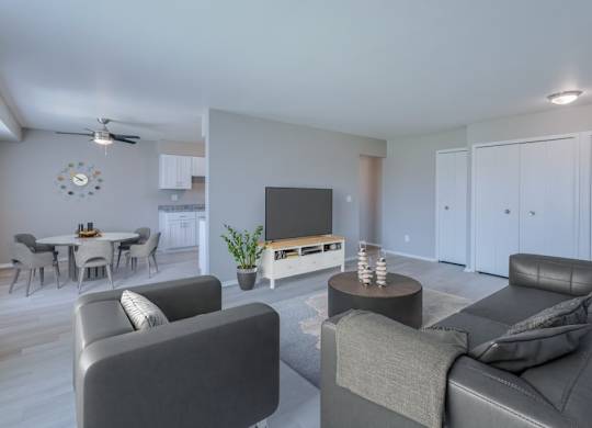 A living room with a grey couch, a coffee table, and a television.