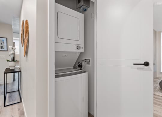 A modern bathroom with a white cabinet and a small plant on a table.