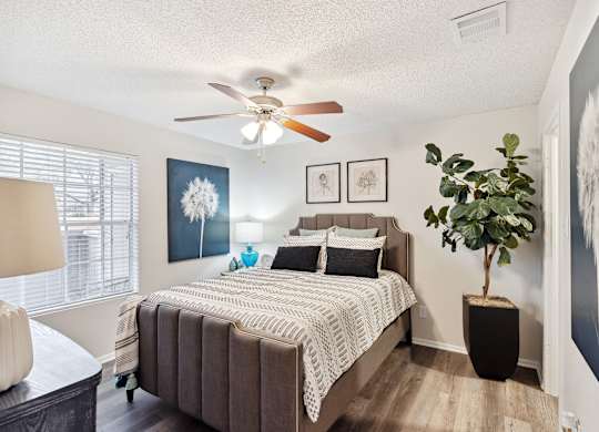 A bedroom with a bed, a ceiling fan, and a plant.