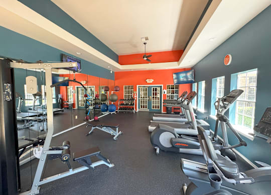 A gym with a variety of equipment including treadmills, weights, and a television.