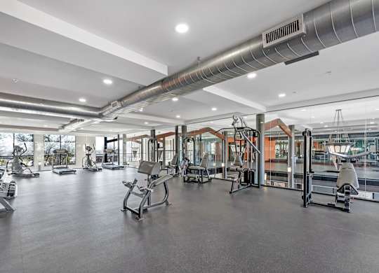 A gym with a variety of exercise equipment.