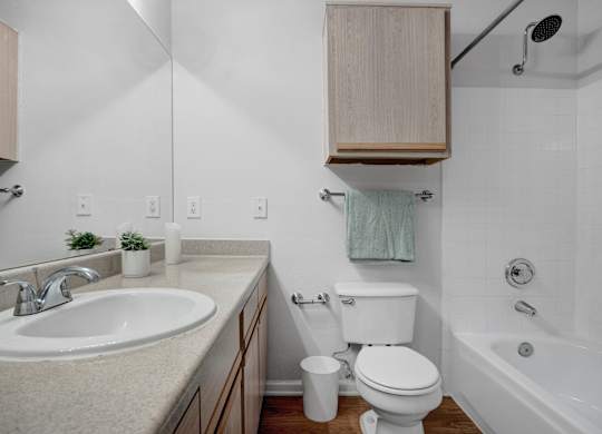 A white toilet sits next to a sink in a bathroom.