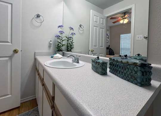 A bathroom with a white sink and a mirror.