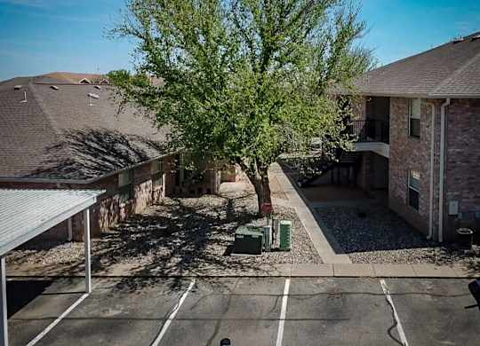A tree in a courtyard surrounded by buildings.