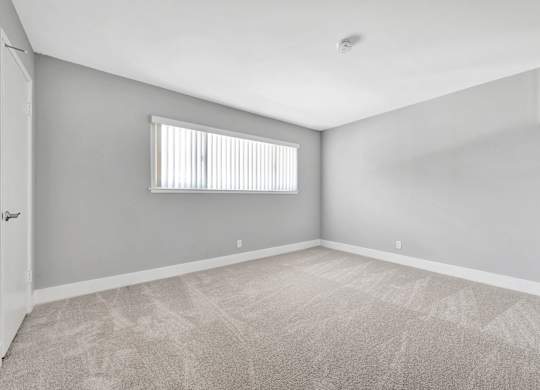 A room with a carpeted floor and a window with blinds.