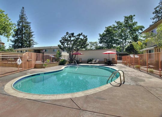 Invigorating Swimming Pool at Pines, Campbell, CA