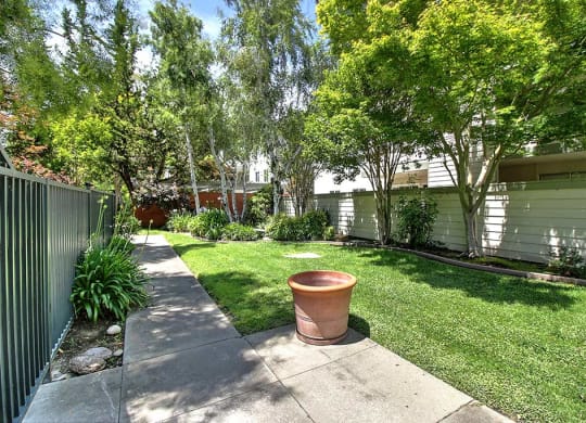 Backyard at Wellesley Crescent, California, 94062