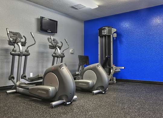 A gym with a blue wall and a row of exercise bikes.