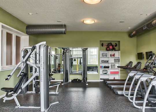 A gym with a green wall and a row of treadmills.