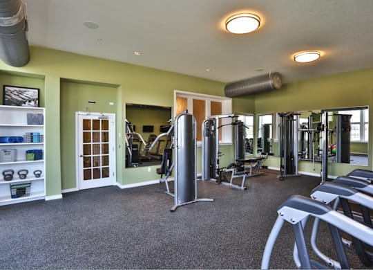 A gym with treadmills, weights, and other equipment.