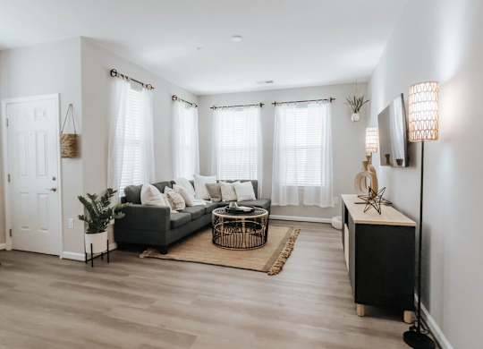 A living room with a grey couch, a coffee table, a TV, and a plant.