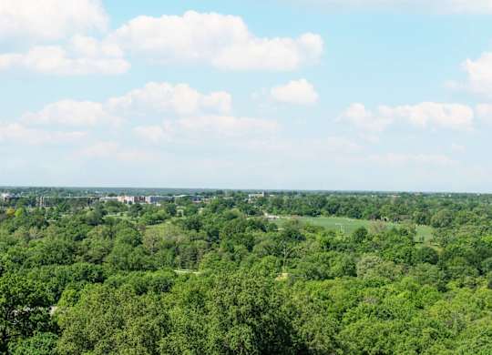 A lush green forest stretches out to the horizon under a blue sky dotted with white clouds.