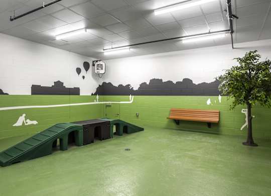 A room with a green floor and a wooden bench.