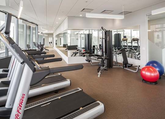 A gym with treadmills, weights, and exercise balls.