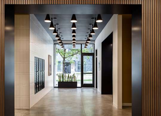 A hallway with a plant in the middle and a tree outside the window.
