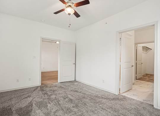 A room with a ceiling fan and carpeted floor.