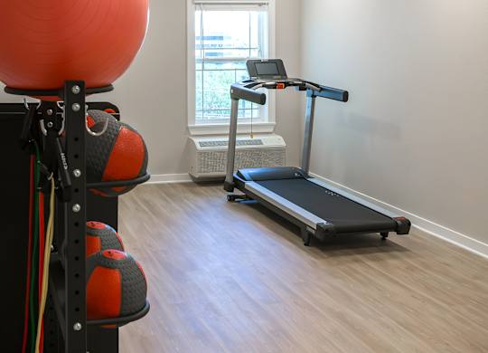 A room with a treadmill, exercise balls and weights.