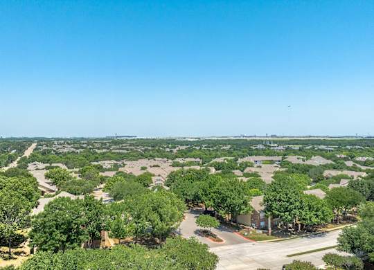 A bird flies over a tree-lined residential neighborhood.