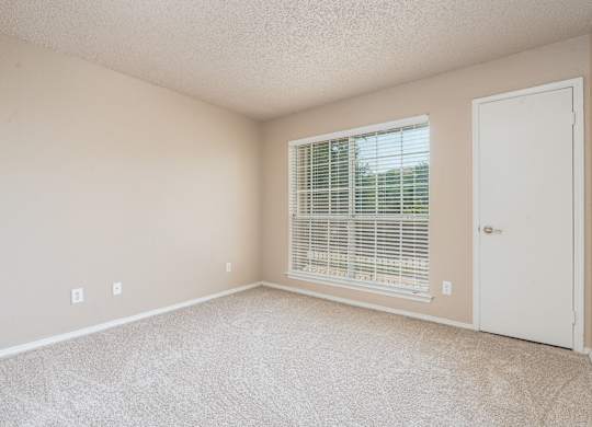 A room with a carpeted floor, a window with blinds, and a white door.