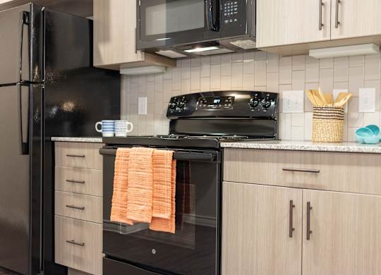 A black refrigerator and oven in a kitchen with wooden cabinets.