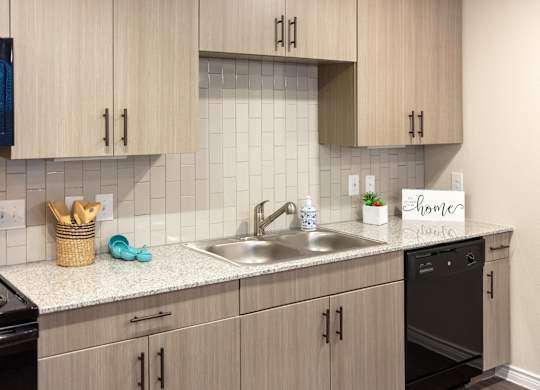 A kitchen with a black dishwasher and a white sink.