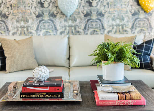 A coffee table with a stack of books and a potted plant on it.