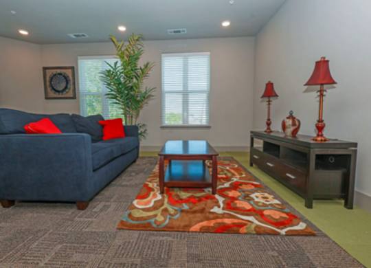 A living room with a blue couch, a coffee table, and a rug.