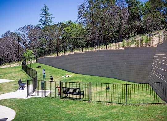 A park with a black fence and a bench.