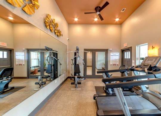 A gym with treadmills, elliptical machines, and weights.