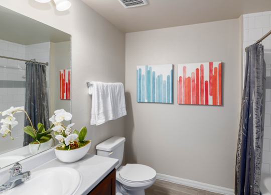 A bathroom with a white sink, toilet, and a large mirror.