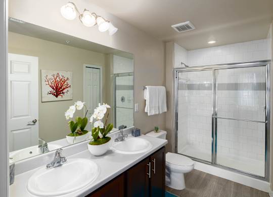 A bathroom with a white sink and a glass shower stall.