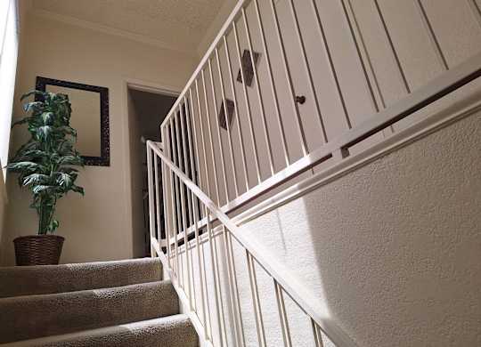 A staircase with a plant on the left side and a mirror on the wall.