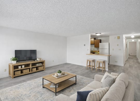 A living room with a grey sofa, a wooden coffee table, and a television on a wooden stand.