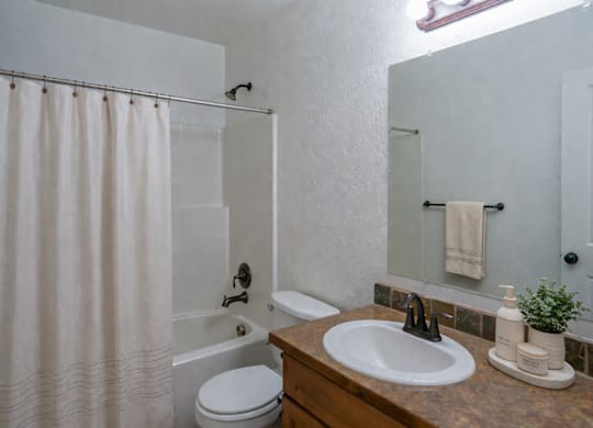 A bathroom with a toilet, sink, and shower.